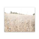 Shop Dried Flower Field Photo Art Print-Boho, Botanicals, Hamptons, Landscape, Neutrals, Photography, View All-framed poster wall decor artwork