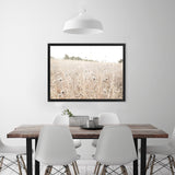 Shop Dried Flower Field Photo Canvas Art Print-Boho, Botanicals, Hamptons, Landscape, Neutrals, Photography, Photography Canvas Prints, View All-framed wall decor artwork