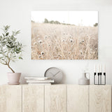 Shop Dried Flower Field Photo Canvas Art Print-Boho, Botanicals, Hamptons, Landscape, Neutrals, Photography, Photography Canvas Prints, View All-framed wall decor artwork