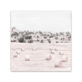Shop Australian Farm II (Square) Canvas Art Print-Nature, Neutrals, Pink, Square, View All-framed wall decor artwork