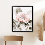 Shop Waratah Flowers III Photo Art Print-Botanicals, Florals, Hamptons, Nature, Photography, Pink, Portrait, Purple, View All-framed poster wall decor artwork