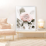 Shop Waratah Flowers III Photo Art Print-Botanicals, Florals, Hamptons, Nature, Photography, Pink, Portrait, Purple, View All-framed poster wall decor artwork