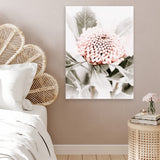 Shop Waratah Flowers III Photo Canvas Art Print-Botanicals, Florals, Hamptons, Nature, Photography, Photography Canvas Prints, Pink, Portrait, Purple, View All-framed wall decor artwork