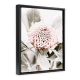 Shop Waratah Flowers III Photo Canvas Art Print-Botanicals, Florals, Hamptons, Nature, Photography, Photography Canvas Prints, Pink, Portrait, Purple, View All-framed wall decor artwork