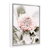 Shop Waratah Flowers III Photo Canvas Art Print-Botanicals, Florals, Hamptons, Nature, Photography, Photography Canvas Prints, Pink, Portrait, Purple, View All-framed wall decor artwork
