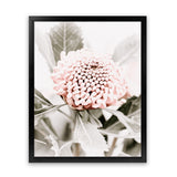 Shop Waratah Flowers III Photo Art Print-Botanicals, Florals, Hamptons, Nature, Photography, Pink, Portrait, Purple, View All-framed poster wall decor artwork