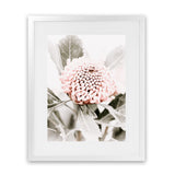 Shop Waratah Flowers III Photo Art Print-Botanicals, Florals, Hamptons, Nature, Photography, Pink, Portrait, Purple, View All-framed poster wall decor artwork