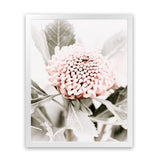 Shop Waratah Flowers III Photo Art Print-Botanicals, Florals, Hamptons, Nature, Photography, Pink, Portrait, Purple, View All-framed poster wall decor artwork