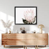 Shop Pink King Protea Flower II Photo Art Print-Botanicals, Florals, Hamptons, Landscape, Nature, Photography, Pink, View All, White-framed poster wall decor artwork