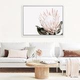Shop Pink King Protea Flower II Photo Canvas Art Print-Botanicals, Florals, Hamptons, Landscape, Nature, Photography, Photography Canvas Prints, Pink, View All, White-framed wall decor artwork