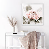 Shop Waratah Flowers III (Square) Photo Art Print-Florals, Hamptons, Photography, Pink, Purple, Square, View All-framed poster wall decor artwork