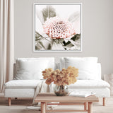 Shop Waratah Flowers III (Square) Photo Canvas Art Print-Florals, Hamptons, Photography, Photography Canvas Prints, Pink, Purple, Square, View All-framed wall decor artwork
