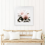 Shop Waratah Flowers (Square) Photo Art Print-Florals, Green, Hamptons, Photography, Pink, Square, View All-framed poster wall decor artwork
