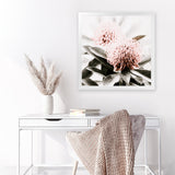 Shop Waratah Flowers (Square) Photo Art Print-Florals, Green, Hamptons, Photography, Pink, Square, View All-framed poster wall decor artwork