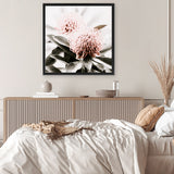 Shop Waratah Flowers (Square) Photo Canvas Art Print-Florals, Green, Hamptons, Photography, Photography Canvas Prints, Pink, Square, View All-framed wall decor artwork