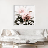 Shop Waratah Flowers (Square) Photo Canvas Art Print-Florals, Green, Hamptons, Photography, Photography Canvas Prints, Pink, Square, View All-framed wall decor artwork