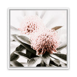 Shop Waratah Flowers (Square) Photo Canvas Art Print-Florals, Green, Hamptons, Photography, Photography Canvas Prints, Pink, Square, View All-framed wall decor artwork