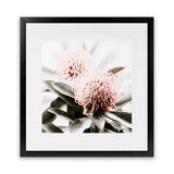 Shop Waratah Flowers (Square) Photo Art Print-Florals, Green, Hamptons, Photography, Pink, Square, View All-framed poster wall decor artwork