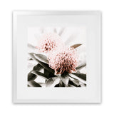 Shop Waratah Flowers (Square) Photo Art Print-Florals, Green, Hamptons, Photography, Pink, Square, View All-framed poster wall decor artwork