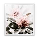 Shop Waratah Flowers (Square) Photo Art Print-Florals, Green, Hamptons, Photography, Pink, Square, View All-framed poster wall decor artwork