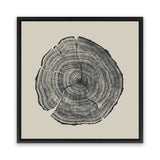 Shop Hand-Drawn Oak (Square) Canvas Art Print-Abstract, Black, Brown, Dan Hobday, Square, View All-framed wall decor artwork