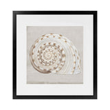 Shop Neutral Shells I (Square) Art Print-Abstract, Neutrals, PC, Square, View All-framed painted poster wall decor artwork