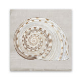 Shop Neutral Shells I (Square) Art Print-Abstract, Neutrals, PC, Square, View All-framed painted poster wall decor artwork