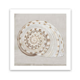 Shop Neutral Shells I (Square) Art Print-Abstract, Neutrals, PC, Square, View All-framed painted poster wall decor artwork