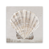 Shop Neutral Shells II (Square) Canvas Art Print-Abstract, Neutrals, PC, Square, View All-framed wall decor artwork