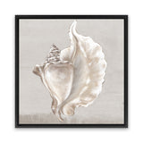 Shop Neutral Shells III (Square) Canvas Art Print-Abstract, Neutrals, PC, Square, View All-framed wall decor artwork