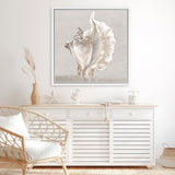 Shop Neutral Shells III (Square) Canvas Art Print-Abstract, Neutrals, PC, Square, View All-framed wall decor artwork