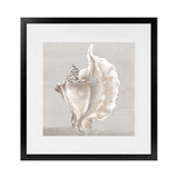 Shop Neutral Shells III (Square) Art Print-Abstract, Neutrals, PC, Square, View All-framed painted poster wall decor artwork
