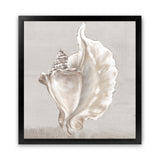 Shop Neutral Shells III (Square) Art Print-Abstract, Neutrals, PC, Square, View All-framed painted poster wall decor artwork