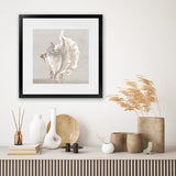 Shop Neutral Shells III (Square) Art Print-Abstract, Neutrals, PC, Square, View All-framed painted poster wall decor artwork