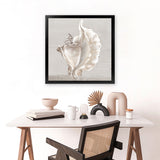 Shop Neutral Shells III (Square) Art Print-Abstract, Neutrals, PC, Square, View All-framed painted poster wall decor artwork