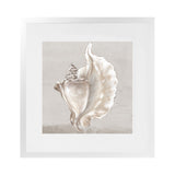 Shop Neutral Shells III (Square) Art Print-Abstract, Neutrals, PC, Square, View All-framed painted poster wall decor artwork