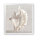 Shop Neutral Shells III (Square) Art Print-Abstract, Neutrals, PC, Square, View All-framed painted poster wall decor artwork
