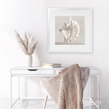 Shop Neutral Shells III (Square) Art Print-Abstract, Neutrals, PC, Square, View All-framed painted poster wall decor artwork
