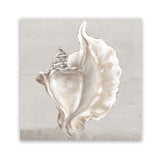 Shop Neutral Shells III (Square) Art Print-Abstract, Neutrals, PC, Square, View All-framed painted poster wall decor artwork