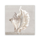 Shop Neutral Shells III (Square) Canvas Art Print-Abstract, Neutrals, PC, Square, View All-framed wall decor artwork