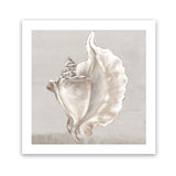 Shop Neutral Shells III (Square) Art Print-Abstract, Neutrals, PC, Square, View All-framed painted poster wall decor artwork