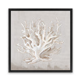 Shop Neutral Shells IV (Square) Canvas Art Print-Abstract, Neutrals, PC, Square, View All-framed wall decor artwork