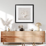 Shop Neutral Shells IV (Square) Art Print-Abstract, Neutrals, PC, Square, View All-framed painted poster wall decor artwork