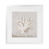 Shop Neutral Shells IV (Square) Art Print-Abstract, Neutrals, PC, Square, View All-framed painted poster wall decor artwork