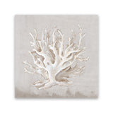 Shop Neutral Shells IV (Square) Canvas Art Print-Abstract, Neutrals, PC, Square, View All-framed wall decor artwork