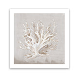 Shop Neutral Shells IV (Square) Art Print-Abstract, Neutrals, PC, Square, View All-framed painted poster wall decor artwork