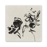 Shop Black Florals I (Square) Art Print-Abstract, Black, Neutrals, PC, Square, View All-framed painted poster wall decor artwork
