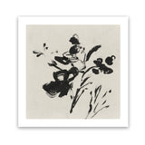 Shop Black Florals II (Square) Art Print-Abstract, Black, Neutrals, PC, Square, View All-framed painted poster wall decor artwork