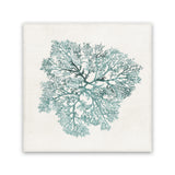 Shop Teal Coral I (Square) Canvas Art Print-Abstract, Green, PC, Square, View All-framed wall decor artwork