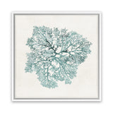 Shop Teal Coral I (Square) Canvas Art Print-Abstract, Green, PC, Square, View All-framed wall decor artwork